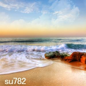 10'x10' SU782